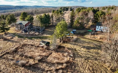 41.23-Acre Van Etten NY Homestead With Pond and Views-$134,900