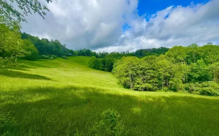 35-Acre Farmhouse Retreat in New Martinsville, WV-$200,000